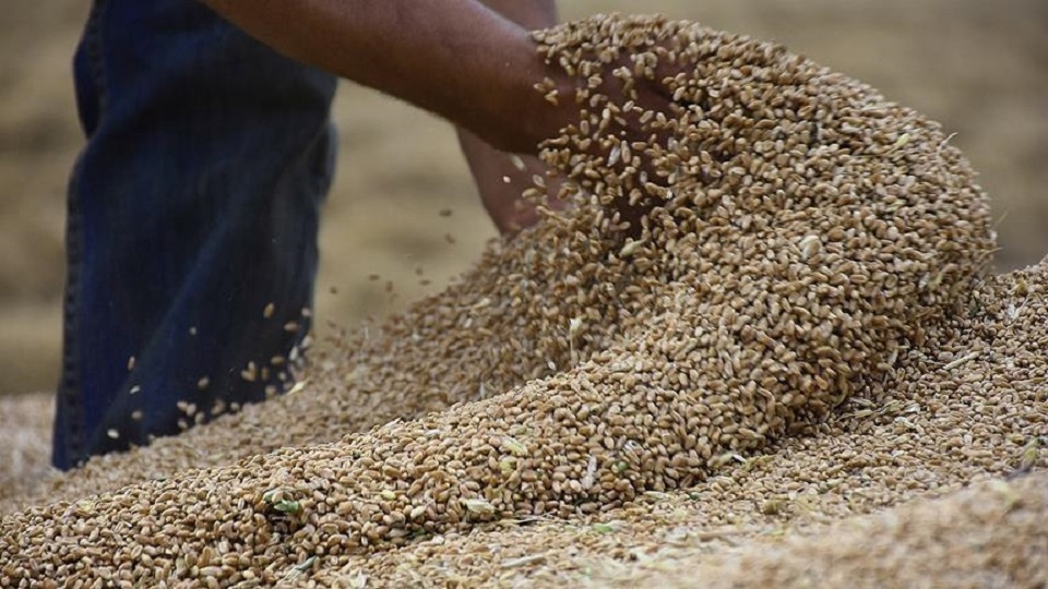 thumbs_b_c_43afb30d658e4bd17d3eff2255006f01